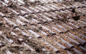 Bryants Bottom roof cleaning companies